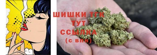 сатива Богородицк
