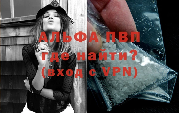 спиды Богородск