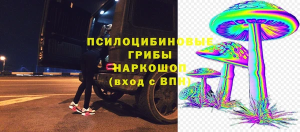 спиды Богородск