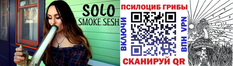 Псилоцибиновые грибы MAGIC MUSHROOMS  Купить закладки  Бокситогорск 
